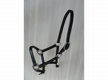 Leather halter adult mini horse with clip