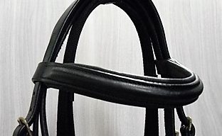 Bridles and bits
