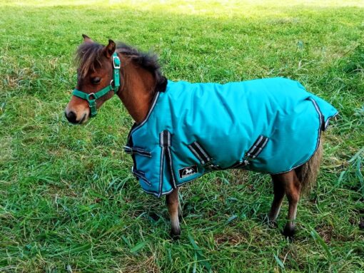 Classic Winter Blanket - Image 11