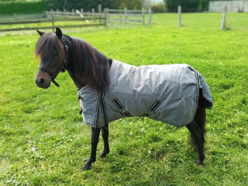 Classic Winter Blanket - Image 7