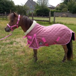 Show blanket