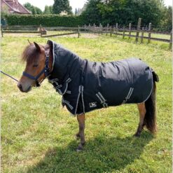 Winter Blanket Fixed Neck 300 gram Colour