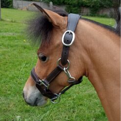 Anatomic Leather Padded Halter