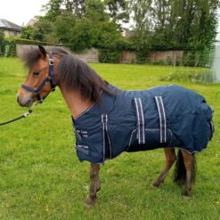 Winter Blanket 300 gram with belly flap