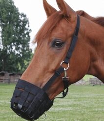 Grazing Muzzle