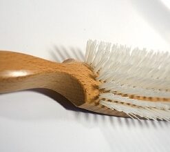 Dux tail- and mane brush
