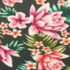 Tropics