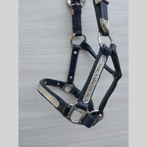 Western Show halter for miniature horse - Image 3