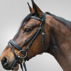 Alternative view of Bridle Diamant