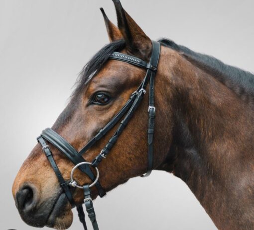 Bridle Diamant - Image 2