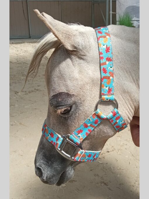 Synthetic Halter with print
