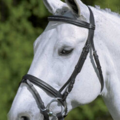 Bridle Diamant