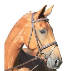 Bridle Lifestyle