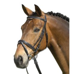 Alternative view of Bridle Lifestyle