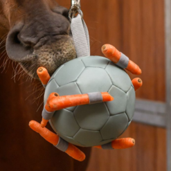 Carrot Ball
