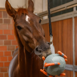 Alternative view of Carrot Ball
